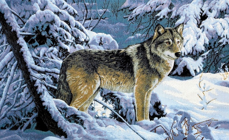 Волк в лесу - гобеленовый купон