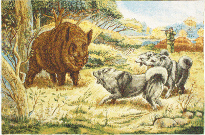 Охота на кабана - гобеленовая картина