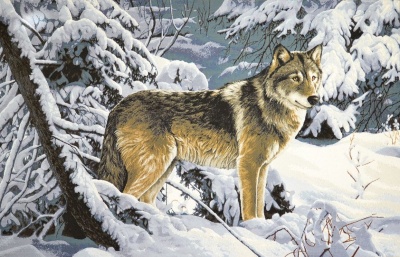 Волк в лесу-гобеленовая картина
